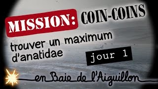 Mission coincoins jour 1  Mission Naturalix4 [upl. by Sucul905]