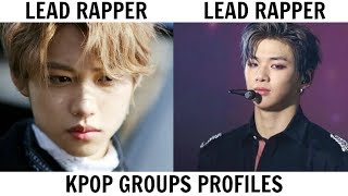 KPOP GROUPS PROFILES  WANNA ONE amp STRAY KIDS [upl. by Taite]