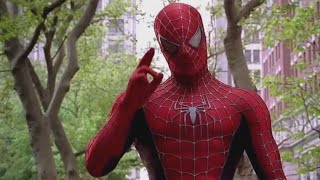 Ytp  Spider Parker 2 Revenge of the Polo Ball [upl. by Anavoig]