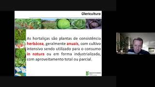 Olericultura Aplicada  Aula 01 – Introdução conceitos e importância da Olericultura [upl. by Beilul513]