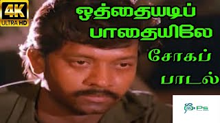 Othaiyadi Pathayila ஒத்தையடி பாதையில  CKDhushan  Shakthi Crown  Shakthi TV [upl. by Leipzig]