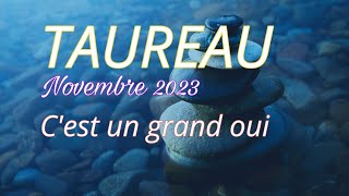 ♉ TAUREAU  Novembre 2023  Cest un GRAND OUI quot Horoscope 🌸✨ [upl. by Zacharias83]