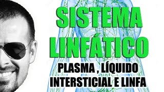 Sistema Linfático  Plasma Líquido Intersticial e Linfa  Anatomia Humana  VideoAula 028 [upl. by Nettirb125]