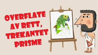 30ðŸ”µ Overflate  Rett trekantet prisme [upl. by Eddi]