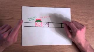 Transcription DNA to mRNA [upl. by Tanitansy]