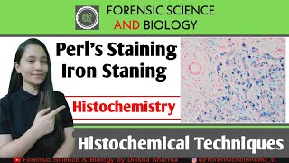 Histochemistry  Perls Reaction of Histochemical Method  Iron level Detection in Tissues [upl. by Anayia]