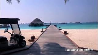 One place of Maldives Angsana Velavaru Resort travel resort hotels [upl. by Nauhs119]