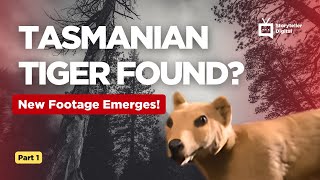 Tasmanian Tiger EXTINCT or Running Wild Animal X Reveals New Footage [upl. by Tegan]