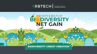 Biodiversity Net Gain  Credit Creation [upl. by Teyut]