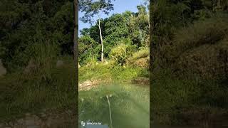 Fishery Pond in HG NAGALAND [upl. by Vada]