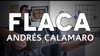 Flaca Andrés Calamaro Tutorial Cover  Guitarra Mauro Martinez [upl. by Sharman]