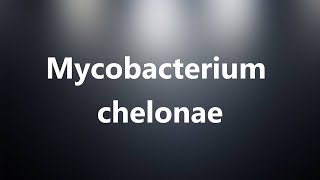 Mycobacterium chelonae  Medical Meaning and Pronunciation [upl. by Aivin]