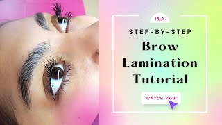 How to do Brow Lamination  A StepbyStep Tutorial [upl. by Eseuqcaj]