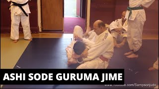 Sode Guruma Jime from Juji Gatame [upl. by Tevis444]