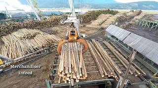 Logs to Lumber  An aerial journey through the sawmill [upl. by Nertie858]