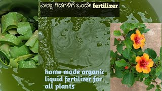 ಎಲ್ಲಾ ಗಿಡಗಳಿಗೆ ಅಲೋವೆರಾ ampಬೆಳ್ಳುಳ್ಳಿಯ ವರದಾನ best fungicide pesticidefertilizerplant regrowth tonic [upl. by Anelahs393]