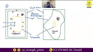 Turgid and Flaccid Plant Cell [upl. by Enomad]