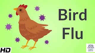 Bird FluAvian Influenza Causes Signs and Symptoms Diagnosis and Treatment [upl. by Charters659]