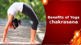 Benefits of Yoga Chakrasana Yoga Video [upl. by Bergmann]