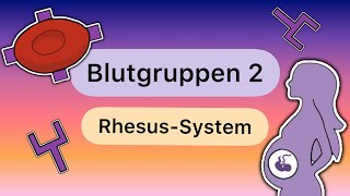 Blutgruppen TEIL 2 Das RHESUSSYSTEM [upl. by Theodore]