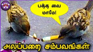 அலப்பறையான ANIMAL சம்பவங்கள்  Funny Animal Moments  Pt2  The Magnet Family 20 [upl. by Magdaia632]