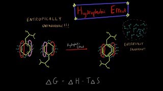 The Hydrophobic Effect and Entropy Biochemistry MADE SUPER SIMPLE [upl. by Grobe54]