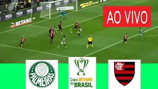 PALMEIRAS X FLAMENGO AO VIVO COM IMAGENS I COPA BETANO DO BRASIL 2024 ASSISTA HOJE [upl. by Nichole]