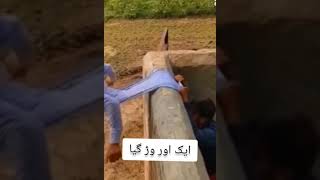 Program to WARR ghaforyou shortvideofunny laugh duet imrankhan [upl. by Cherilyn]