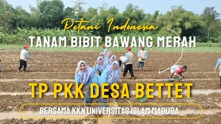 Tanam Bawang Merah bersama Mahasiswa KKN UIM Posko 9 [upl. by Enalahs]