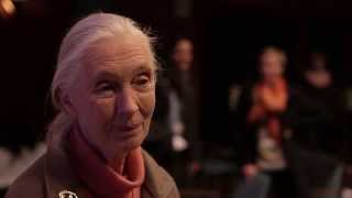 Dr Jane Goodall on Plastic Bags [upl. by Oniger519]