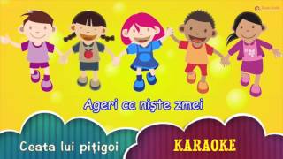 CEATA LUI PITIGOI  KARAOKE CANTECE PENTRU COPII [upl. by Eugirne294]