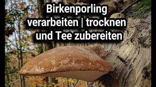 Birkenporling Tee Zubereitung Wie verarbeite ich einen Birkenporling zum nachmachen [upl. by Adnocahs99]