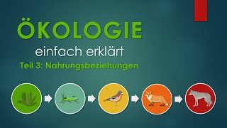 3 Nahrungsbeziehungen  ÖKOLOGIE einfach erklärt [upl. by Ezar]