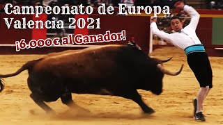 🏆🇪🇺 CAMPEONATO DE EUROPA DE RECORTADORES FRENTE A TOROS DE MIURA ADOLFO MARTÍN 📍 VALENCIA 2021 [upl. by Alansen286]