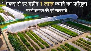 VEGETABLE FARMING HANDBOOK  how to do Organic farming  Vegetable Business [upl. by Zela]