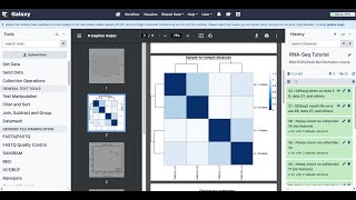 RNASeq Intro [upl. by Weatherley398]