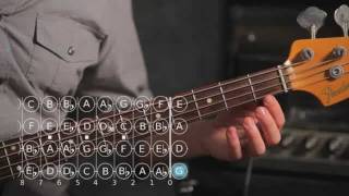 How to Play D ♯  E Flat Major Scale  Bass Guitar [upl. by Mitchael]