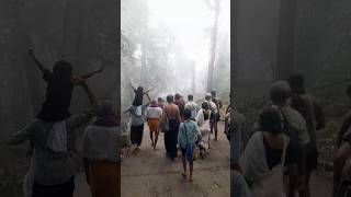 கொட்டும் பனியில் ஐயப்ப பக்தர்கள் சாமி தரிசனம்  heavy snow at sabarimala pilgrimage after a rain [upl. by Hallvard364]