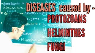 How to learn diseases caused by protozoans  helminths and fungus [upl. by Aicila631]