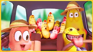 Larva Season 3 Episode 73 🍟Larva Cartoons  The BEST of Cartoon Box [upl. by Odlavso]