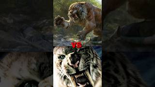 Sabertooth Tiger vs Siberian Tiger 🤯🤔 By info fact News [upl. by Amolap]