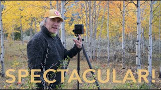 Photographing spectacular AUTUMN colour  The CANADIAN Rockies [upl. by Nhoj]