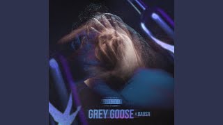 Grey Goose [upl. by Starlene337]