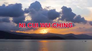 NI CUI WU CHING Karaoke no Vocal [upl. by Esorlatsyrc]