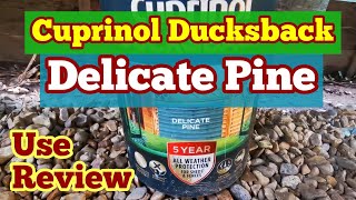 Cuprinol Ducksback Delicate Pine Fence and Shed Paint Use Review Colour Fidelity [upl. by Olivier]