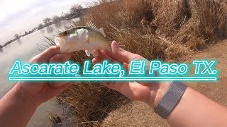 Urban Fishing in El Paso Texas [upl. by Suiramed966]