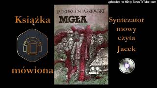 3 Kapitan Tomasz Rajski Mgła audiobook cz 4  17 [upl. by Heins]