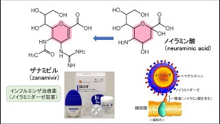 【薬の化学構造名の由来を知ろう！：医薬品化学名語源事典mini】（１６）ピラン [upl. by Edholm]