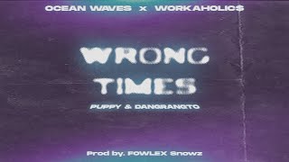 puppy amp Dangrangto  Wrong Times  ft FOWLEX Snowz  OFFICIAL LYRICS VIDEO [upl. by Aleakcim839]