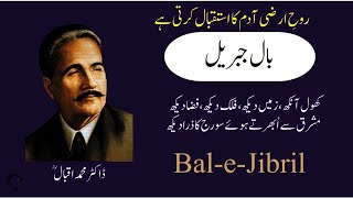 Allama Iqbal Shayari  Best 2 Line Poitry of Allama iqbal  iqbal quotes  iqbal Poitry [upl. by Ettenotna362]